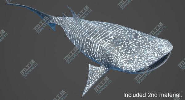 images/goods_img/20210312/Whale Shark Rigged/5.jpg